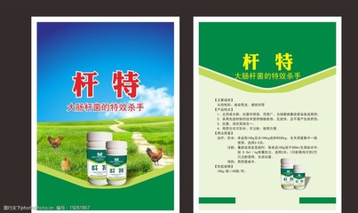 獸藥 保障動物健康的關鍵